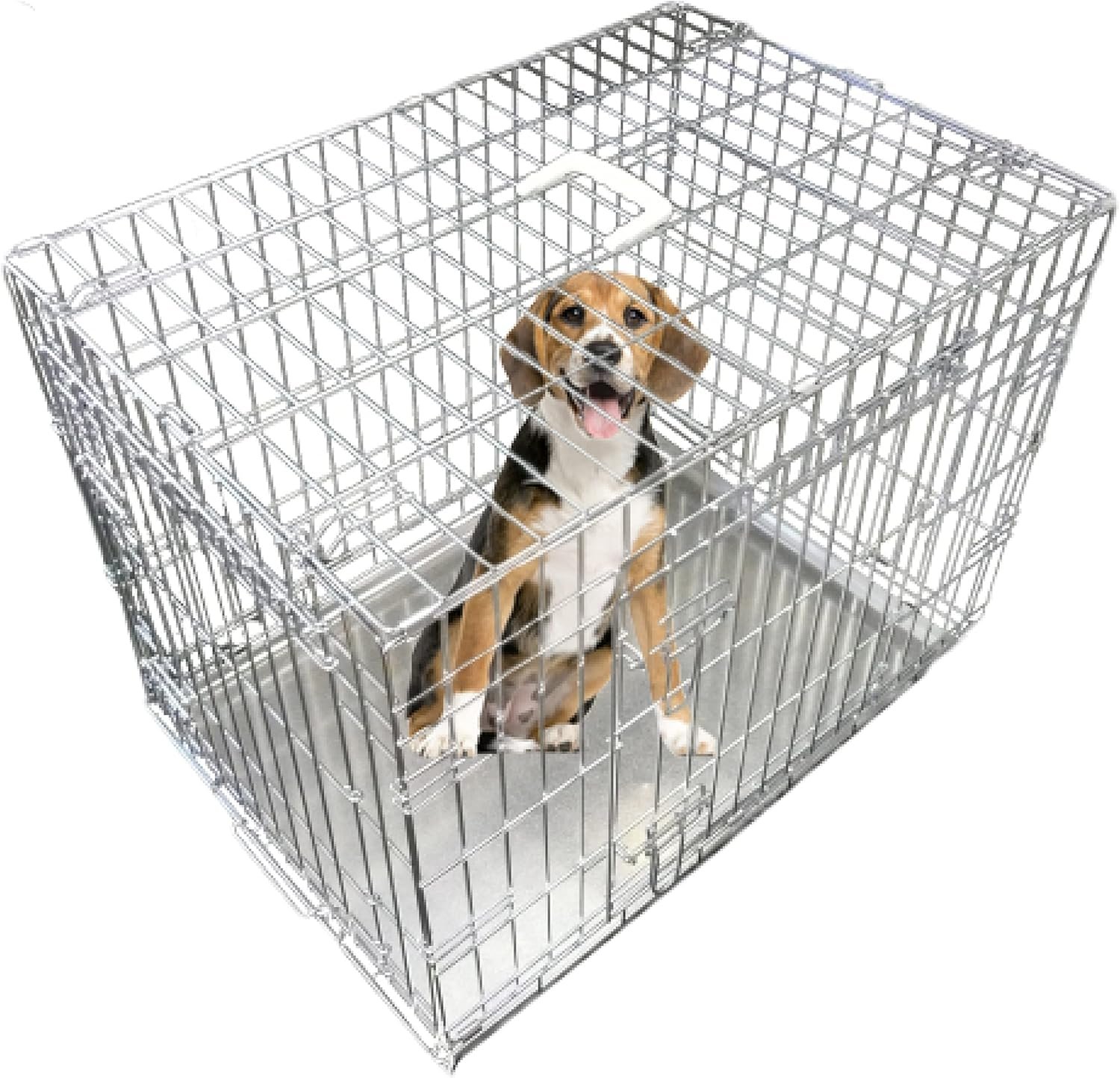 Folding 2Door Dog Crate Max & Co