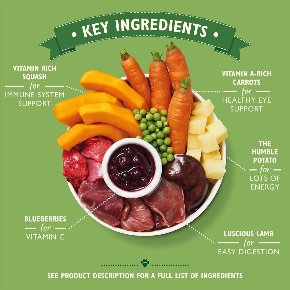 Lily's Kitchen Natural Adult Dog Food