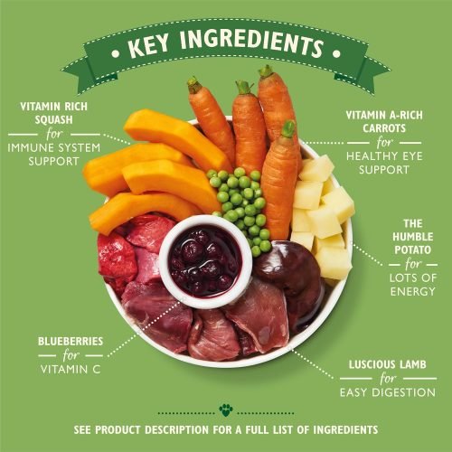 Lily's Kitchen Natural Adult Dog Food