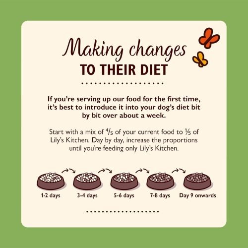 Lily's Kitchen Natural Adult Dog Food