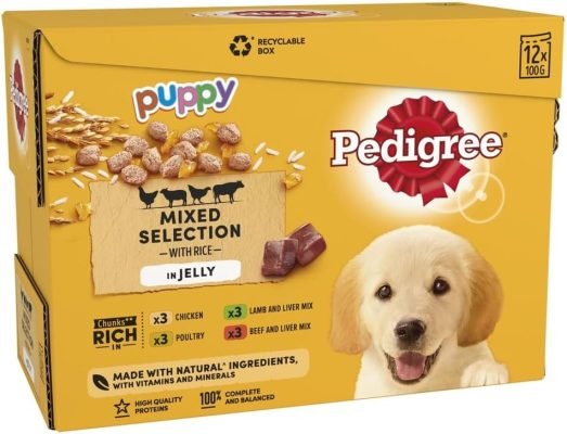 Pedigree Junior Wet Dog Food for Young Dogs and Puppies