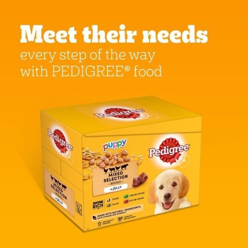 Pedigree Junior Wet Dog Food for Young Dogs and Puppies