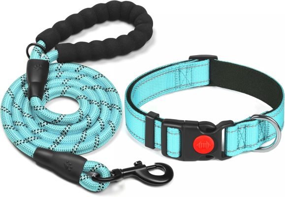 Haapaw Reflective Dog Collar