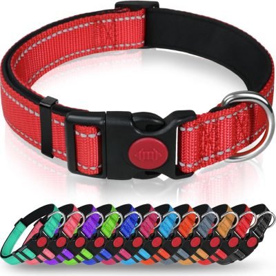 Taglory Reflective Nylon Dog Collar with Safety Buckle