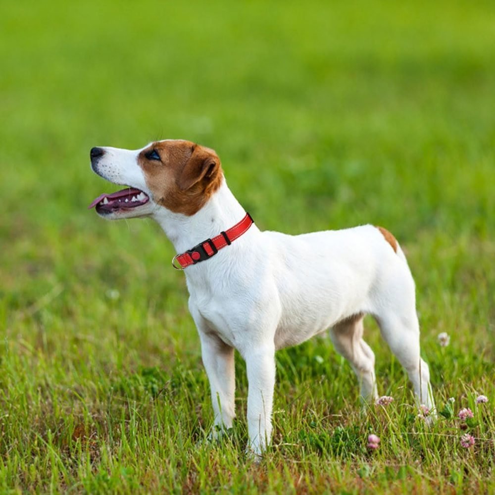 Taglory Reflective Nylon Dog Collar with Safety Buckle