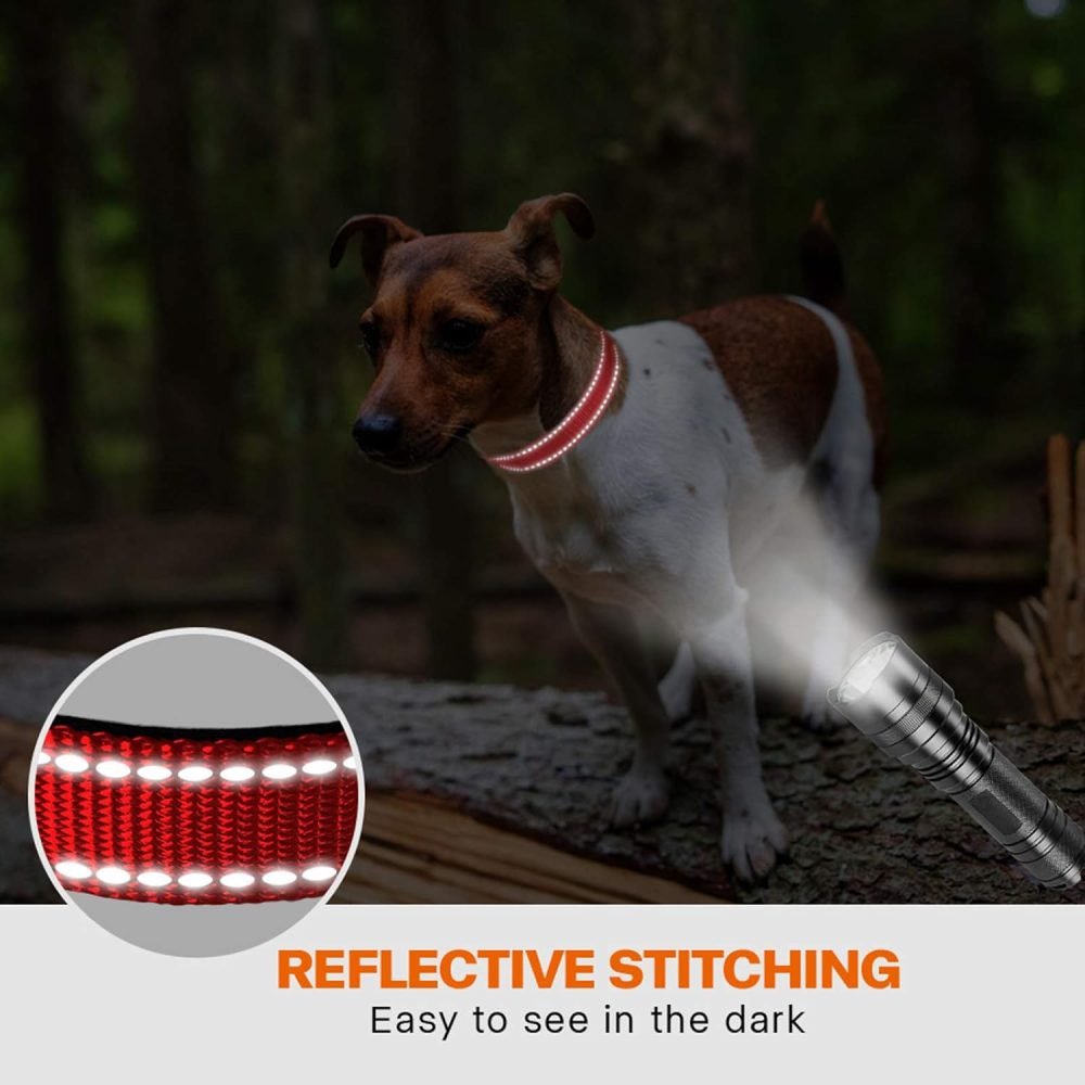 Taglory Reflective Nylon Dog Collar with Safety Buckle