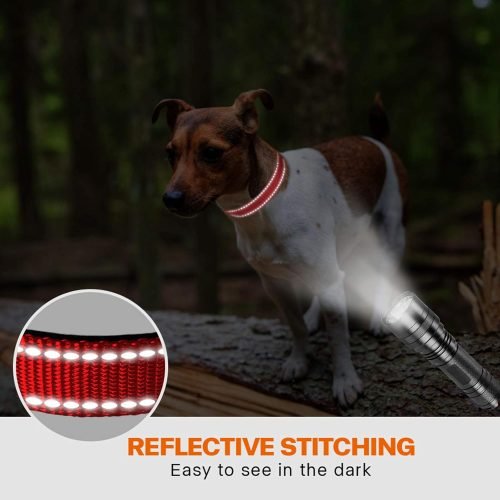 Taglory Reflective Nylon Dog Collar with Safety Buckle