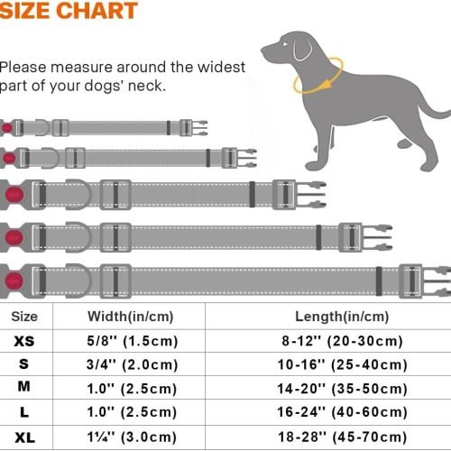 Taglory Reflective Nylon Dog Collar with Safety Buckle