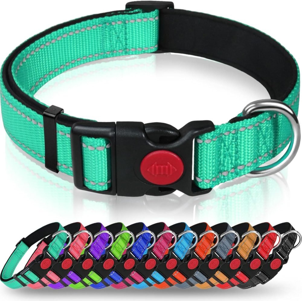 Taglory Reflective Nylon Dog Collar with Safety Buckle