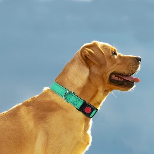 Taglory Reflective Nylon Dog Collar with Safety Buckle