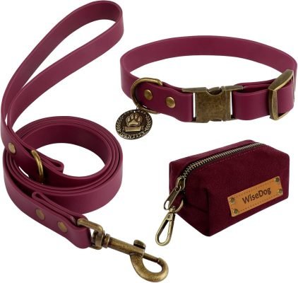 Wisedog Retro Classical Pet Collar & Lead