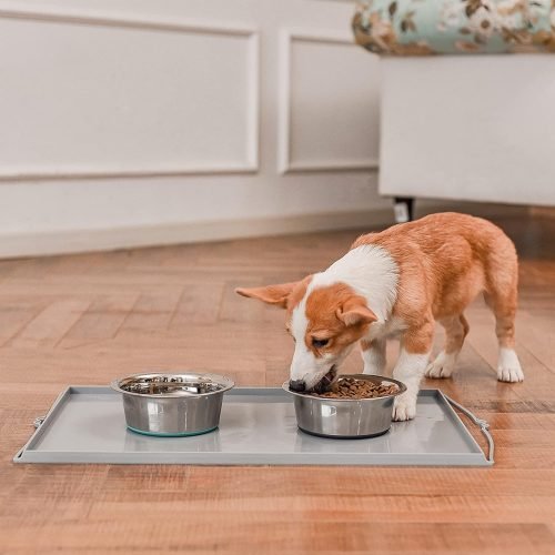 Stainless Steel Dog Bowls