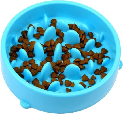 Slow Feeder Dog Bowl