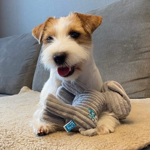 Petface Freddi Cord, Plush Puppy Dog Toy