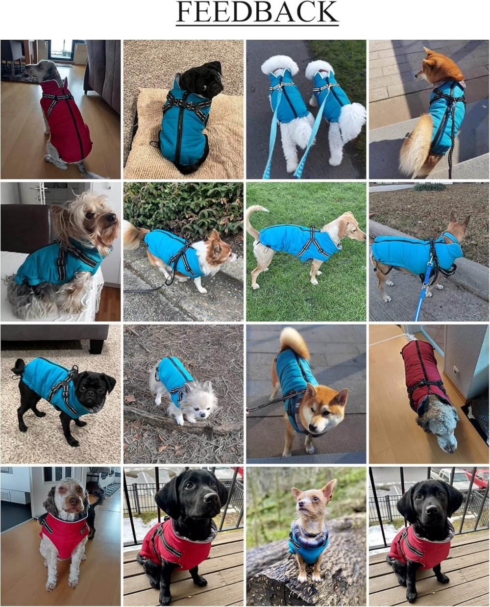 Warm Pet Dog Coats and Jackets for Dogs