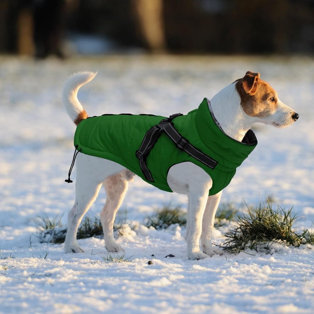 Warm Pet Dog Coats and Jackets for Dogs
