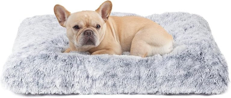 EHEYCIGA Calming Dog Bed Medium