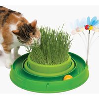 Pet Accessories