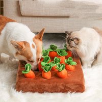 Pet Toys